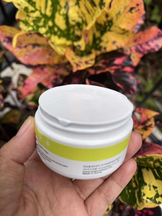 ENATURE Birch Juice Hydro Cream review photo by queque062