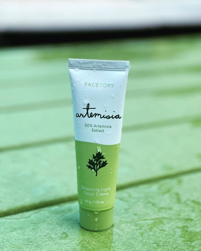 FaceTory Artemisia Balancing Light Cream review photo by queque062