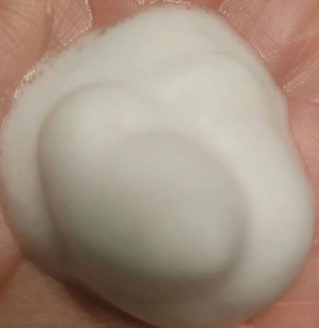 Curel Foaming Wash review photo by rosebudsdiary