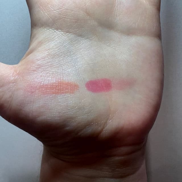 Vegan Again Juicy Glossy Lip Tint product review