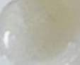 9Wishes Rice Foaming Cleanser review photo by Yary1001