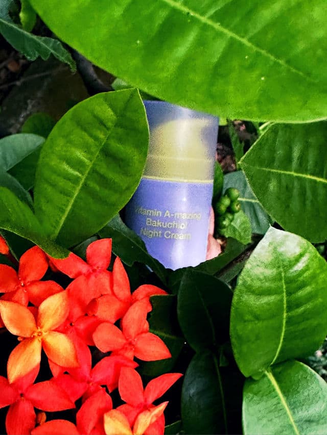 By WISHTREND Vitamin A-mazing Bakuchiol Night Cream review photo by RBme
