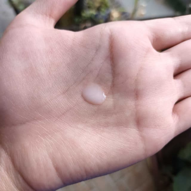Milk + Rice Bath product review