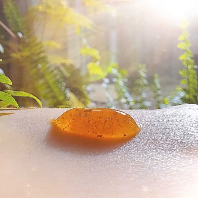 ISNTREE Green Tea Fresh Cleanser review photo by Robynrose