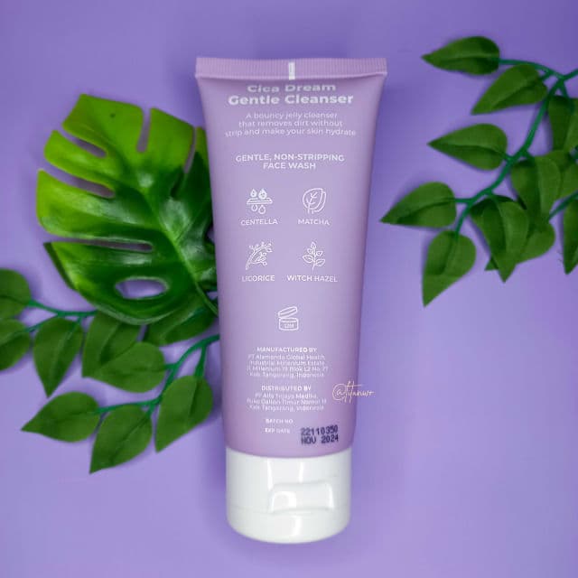 Dorskin Cica Dream Gentle Cleanser review photo by litanwr