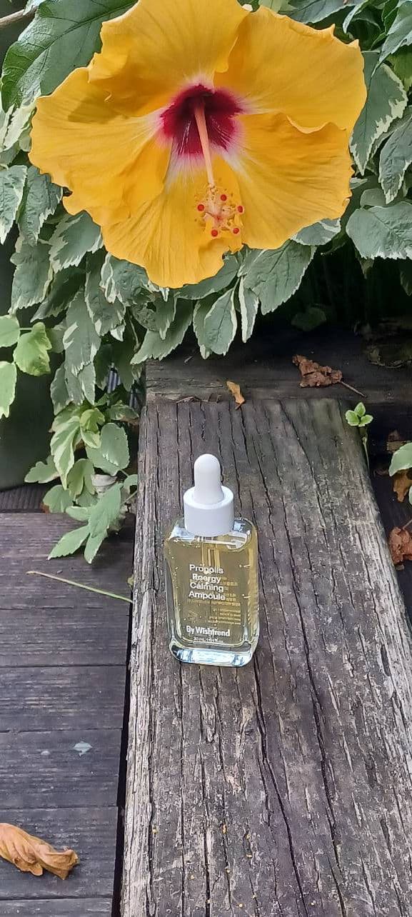 By WISHTREND Propolis Energy Calming Ampoule review photo by daliajulius