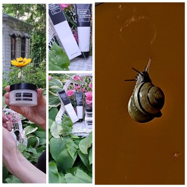 Black Snail Collagen All In One Eye Cream product review
