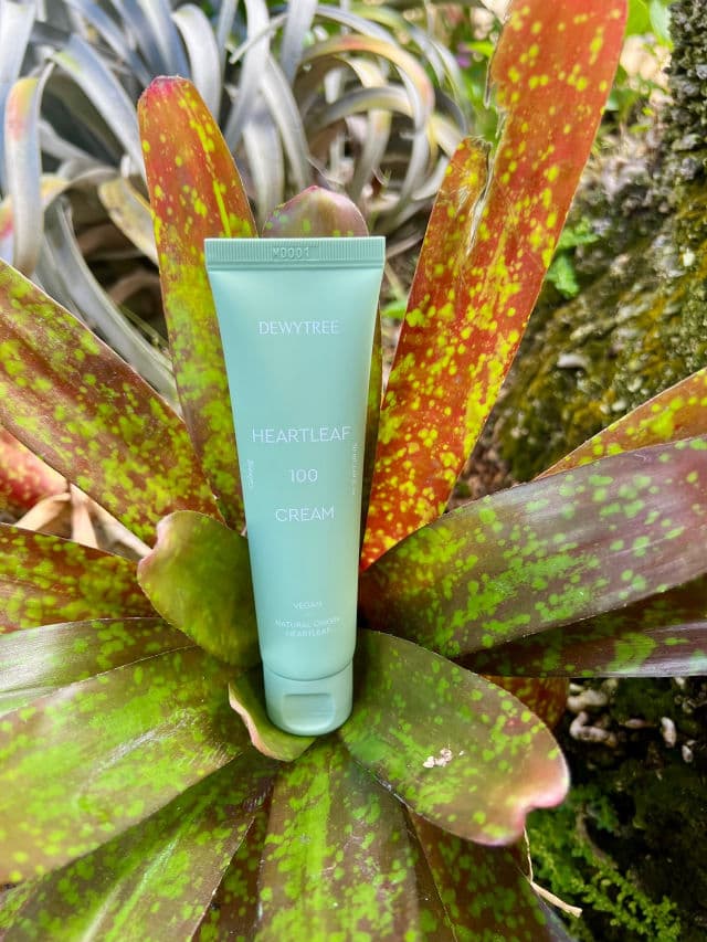 DEWYTREE Heartleaf 100 Cream review photo by JuanderJunkie