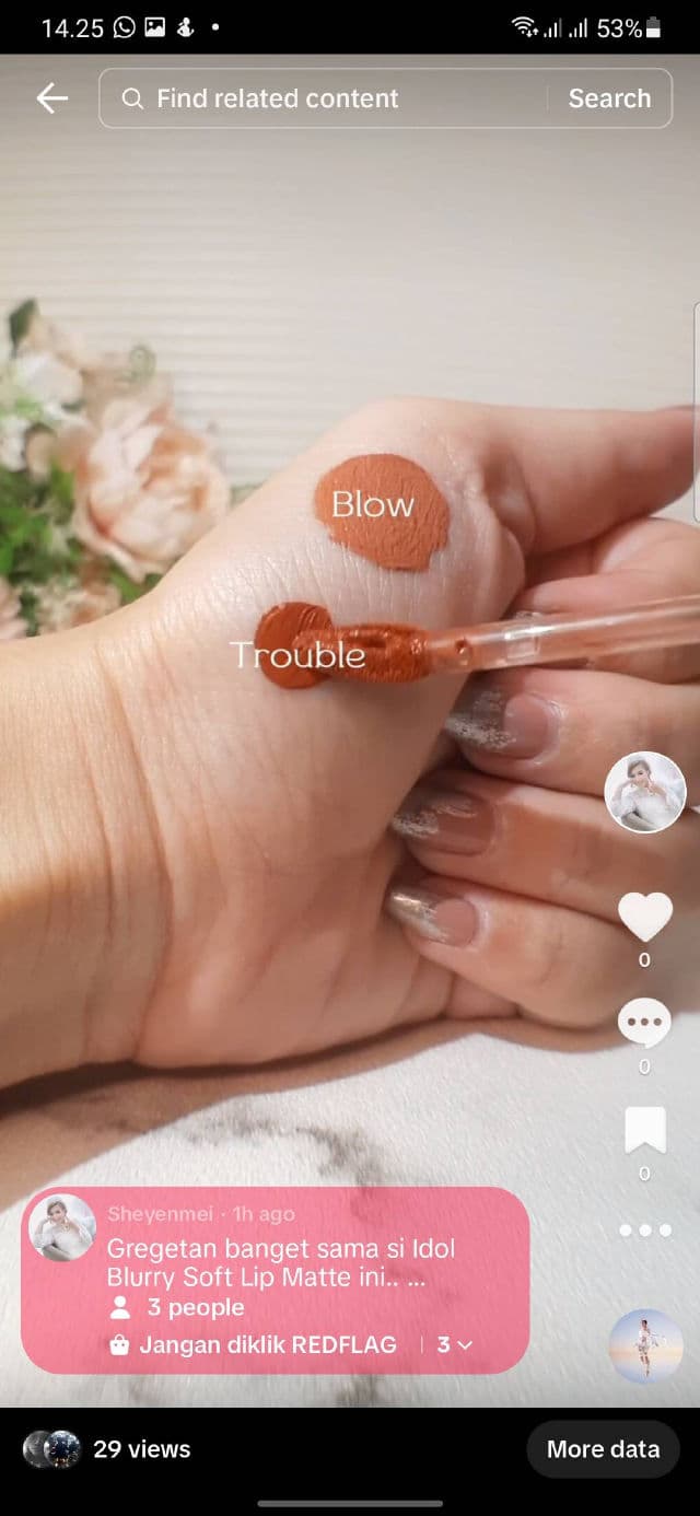 Somethinc Idol Blurry Soft Lip Matte - Blow  review photo by DianAmei