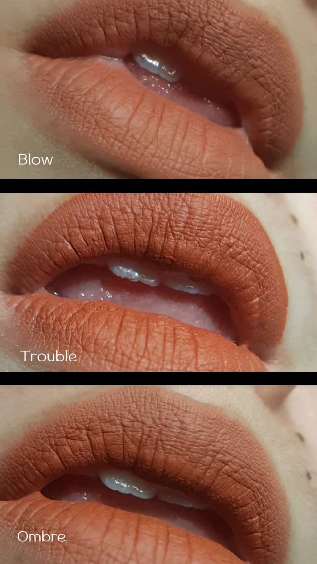Somethinc Idol Blurry Soft Lip Matte - Blow  review photo by DianAmei