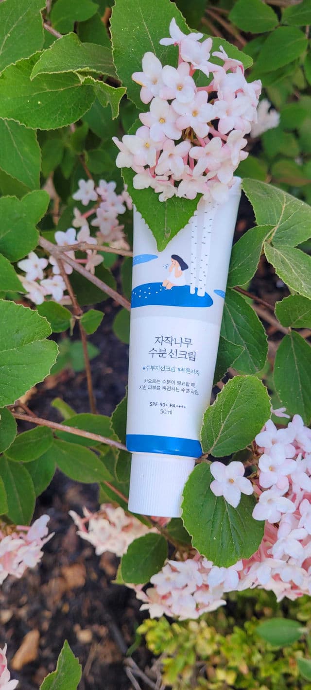 Birch Juice Moisturizing Sun Cream SPF50+ PA++++ product review