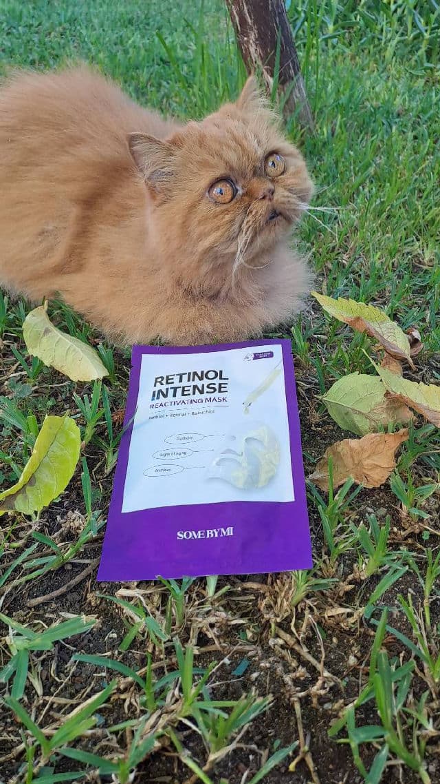 Some By Mi Retinol Intense Reactivating Mask review photo by Misimisen
