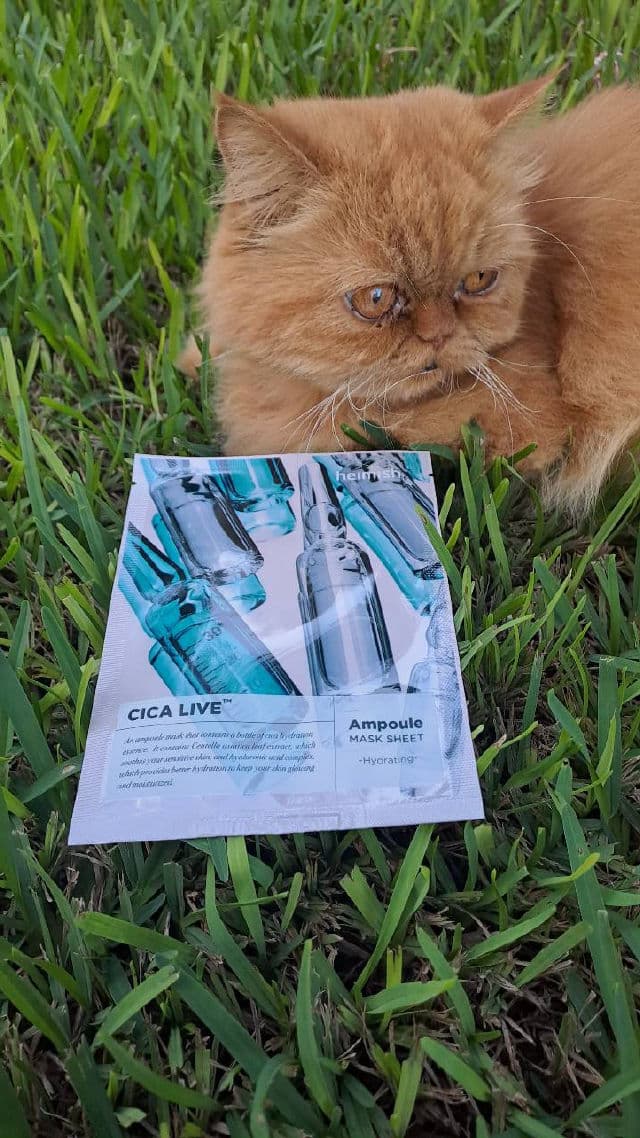 Heimish Cica Live Ampoule Mask Sheet review photo by Misimisen