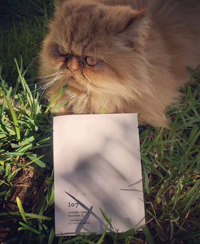 107 Avocado Cuddle Sheet Mask review photo by Misimisen