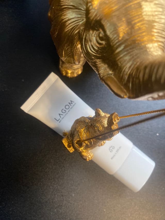 Lagom Cellus Sun Gel+ SPF50+ PA+++ review photo by SherinaJay