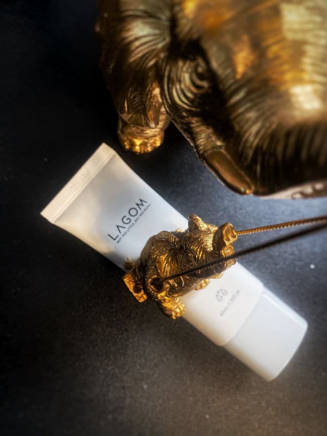 Lagom Cellus Sun Gel+ SPF50+ PA+++ review photo by SherinaJay