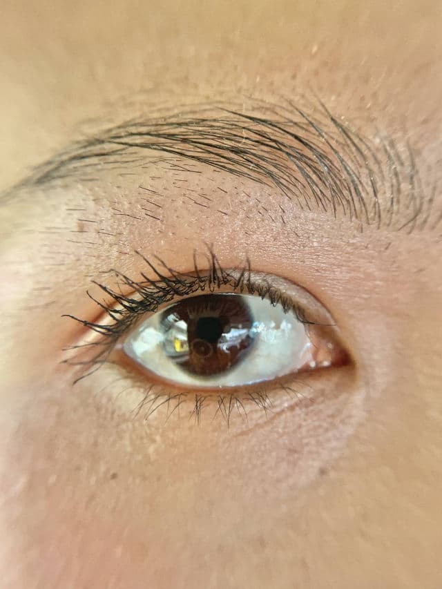 Maybelline Lash Sensational Sky High Waterproof Mascara review photo by mrsjaded