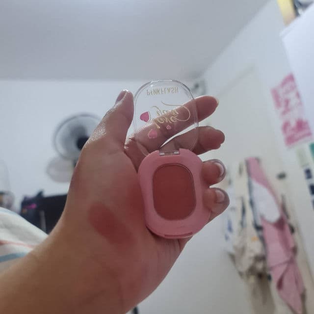 Chic & Check Blusher product review