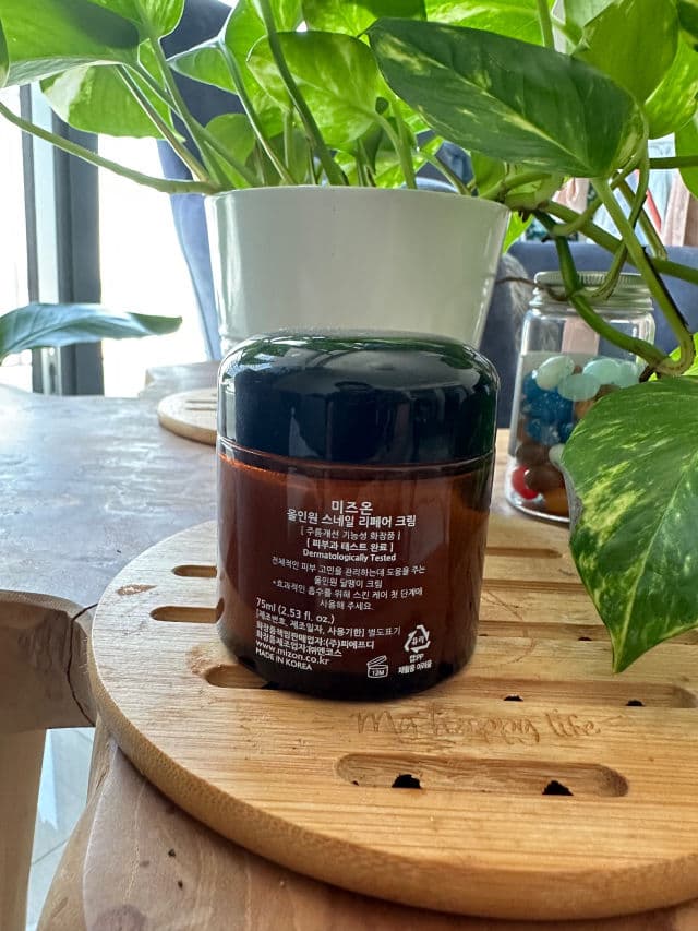 Mizon All-in-One Snail Repair Cream review photo by NehaW