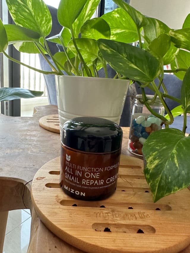 Mizon All-in-One Snail Repair Cream review photo by NehaW