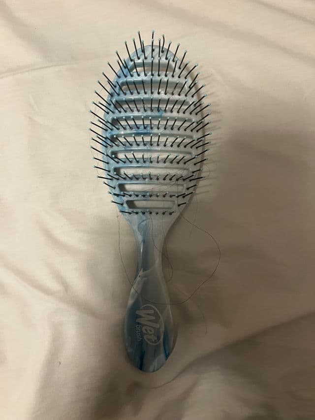 Wet Brush Speed Dry Brush review photo by purinemi