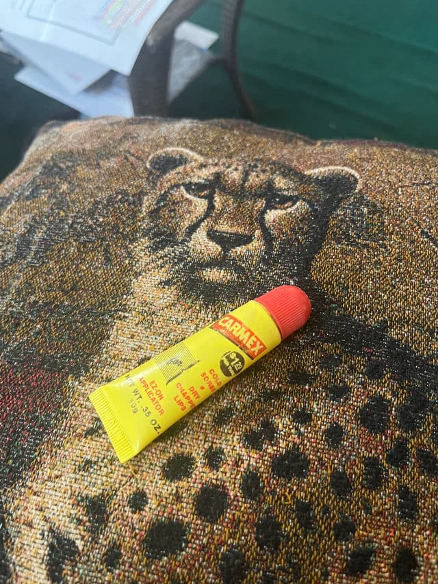 Carmex Classic Lip Balm review photo by sunflwrs86