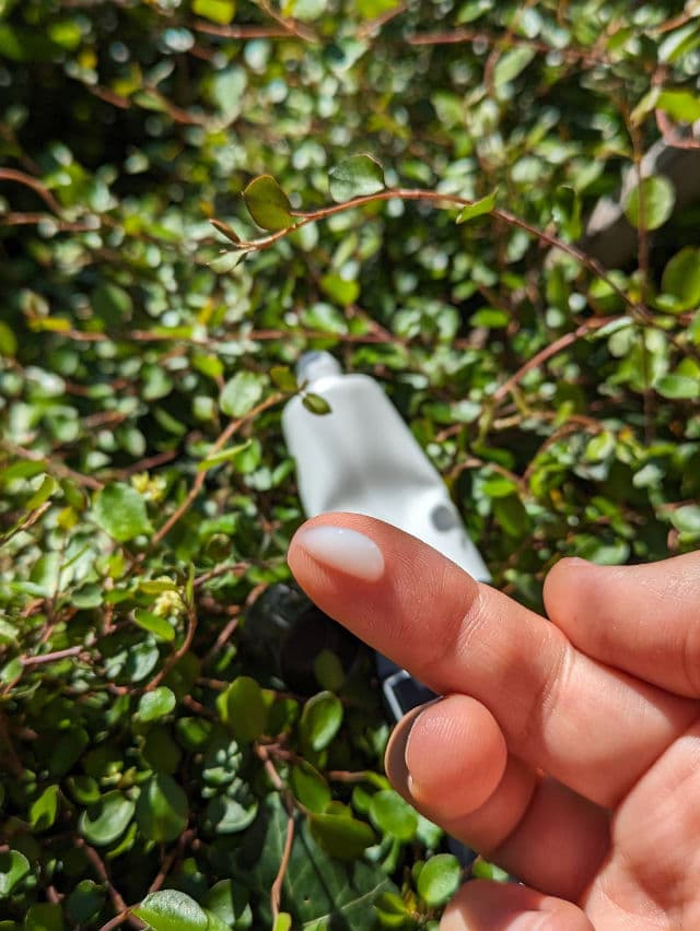 Coxir Black Snail Collagen All In One Eye Cream review photo by Viia