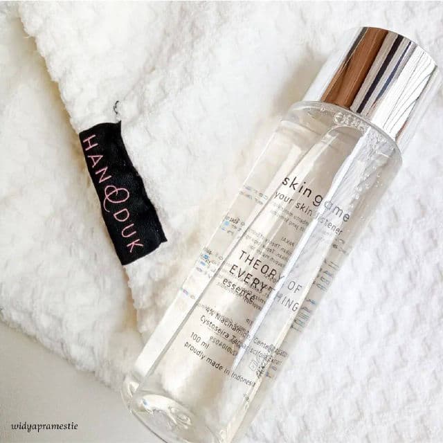 Skin game Theory of Everything review photo by pramestiendangw