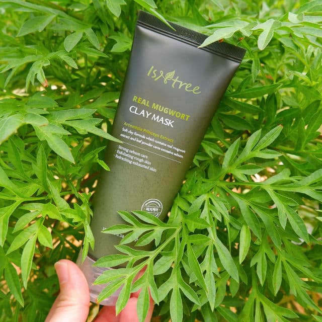 ISNTREE Real Mugwort Clay Mask review photo by htebbethhteb