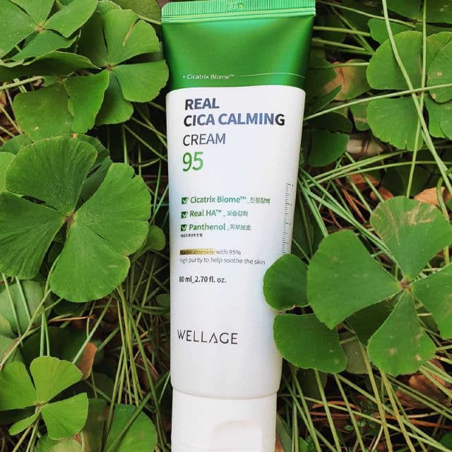 Wellage Real Cica Calming 95 Cream review photo by SskinN