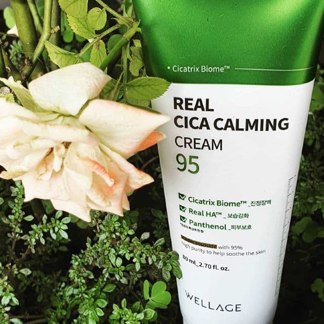 Wellage Real Cica Calming 95 Cream review photo by SskinN