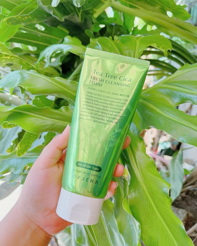 Orjena Tea Tree Cica Fresh Cleansing Foam review photo by etbreathesblog