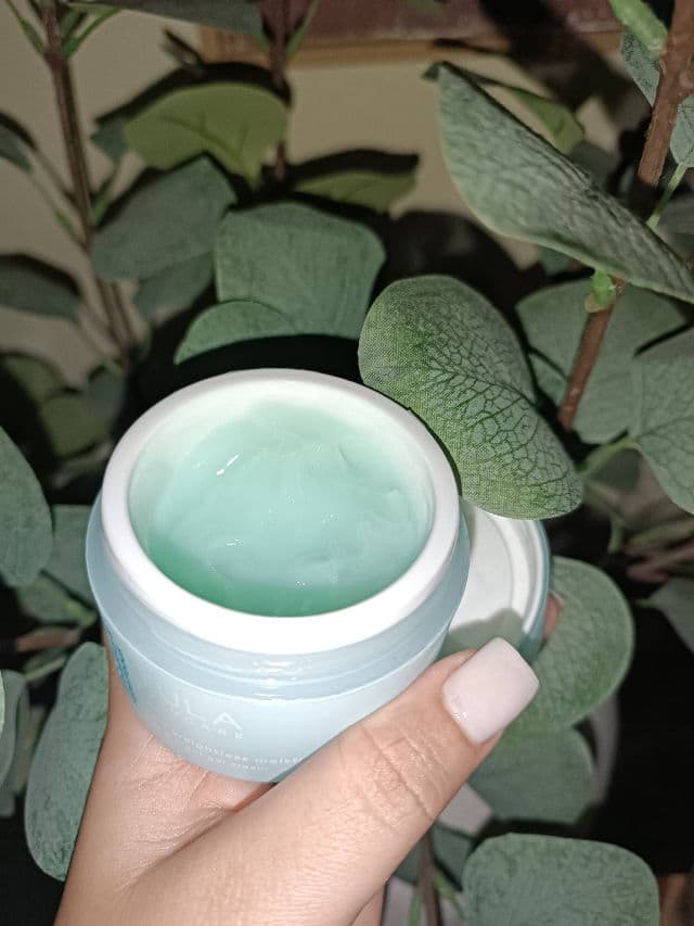TULA Skincare 24-7 Moisture Intense Ultra Hydrating Day & Night Cream review photo by Ilkainoa