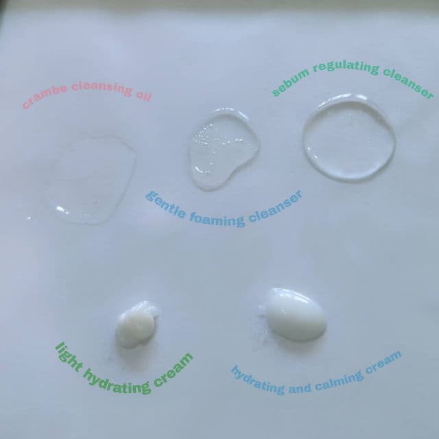 Skinphoria Light Hydrating Cream review photo by hxmesick