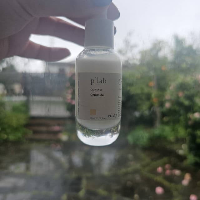 The Plant Base Quesera Ceramide review photo by chloekaydee