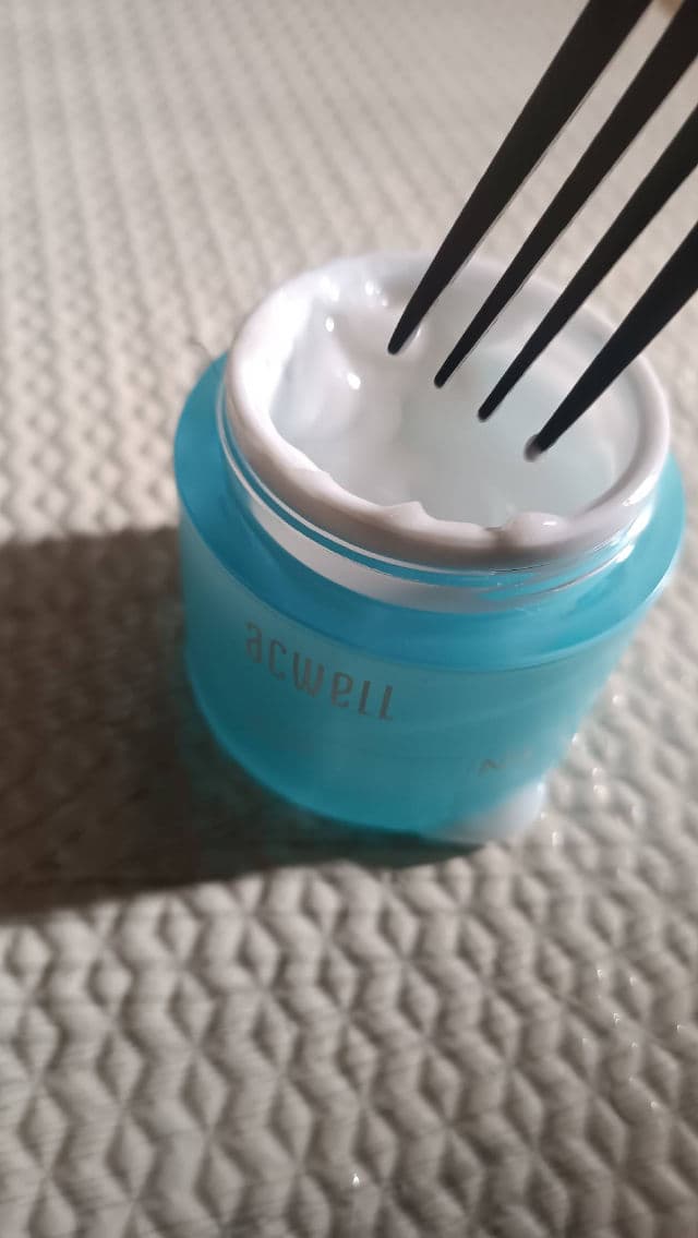 ACWELL Real Aqua Balancing Cream review photo by thelifeofingrid