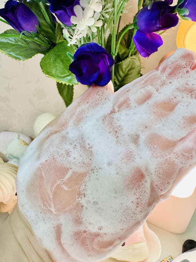 ENS Jin Jung Sung CleanWay Foam Cleanser review photo by freshmochiskin