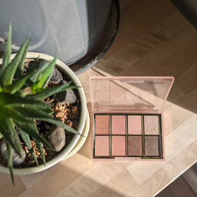 Dailism Eye Palette - Nudie Rose product review
