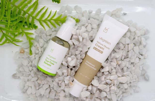 Skin Purifying Tea Tree Serum product review