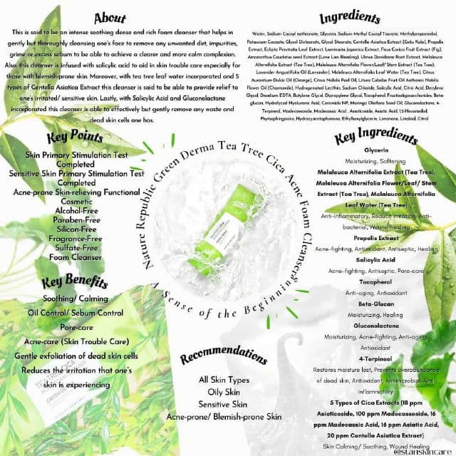 NATURE REPUBLIC Green Derma Tea Tree Cica Acne Foam Cleanser review photo by stanskincare