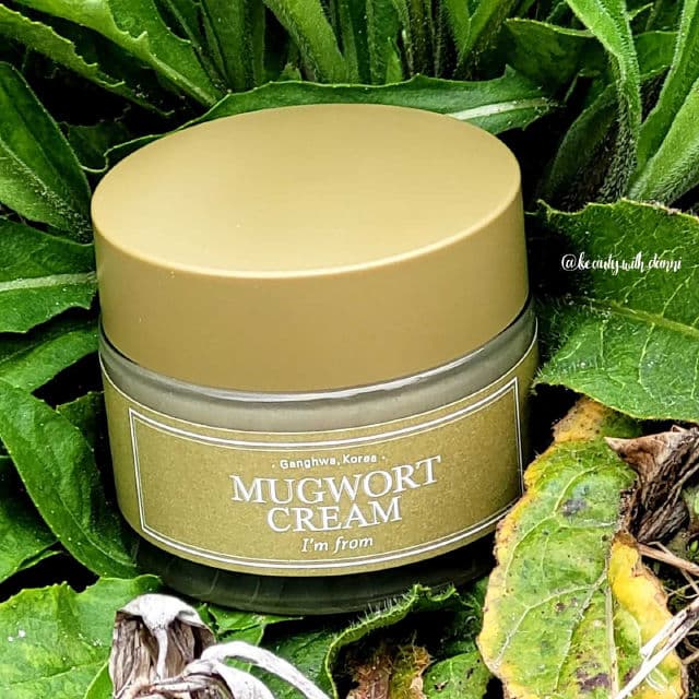 I'M FROM Mugwort Cream review photo by beautywithdanni