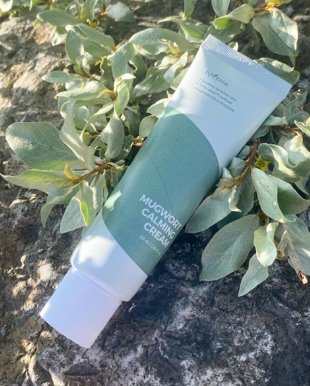 ISNTREE Mugwort Calming Cream review photo by Glowyforever