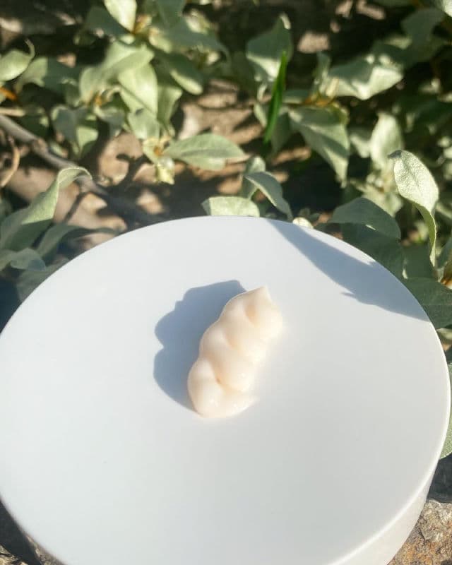 ISNTREE Mugwort Calming Cream review photo by Glowyforever