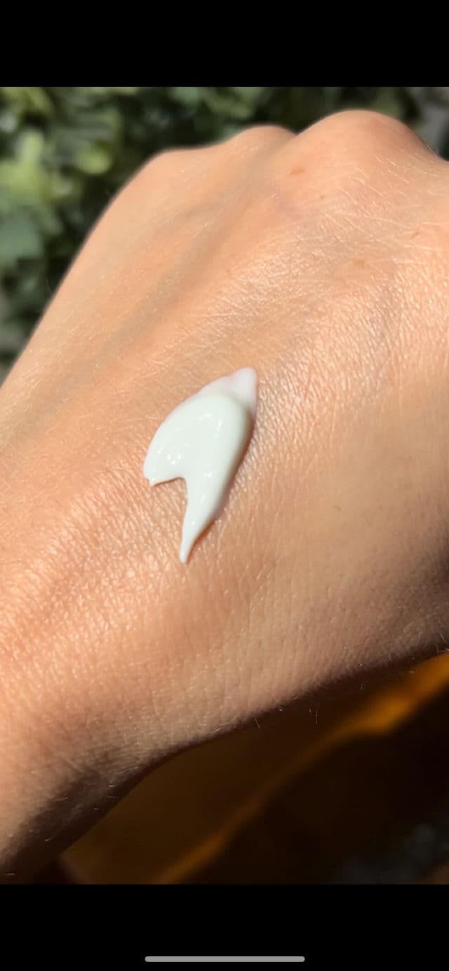ANUA Heartleaf Silky Moisture Sun Cream SPF 50+ PA++++ review photo by Glowyforever