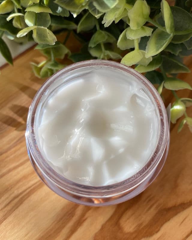 SNP Panthenol 10 Moisturizer review photo by Glowyforever