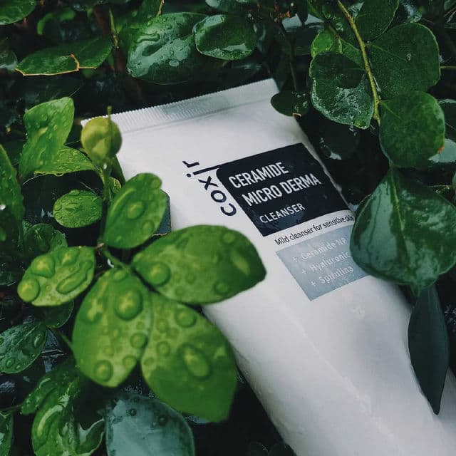 Coxir Ceramide Micro Derma Cleanser review photo by taeandz
