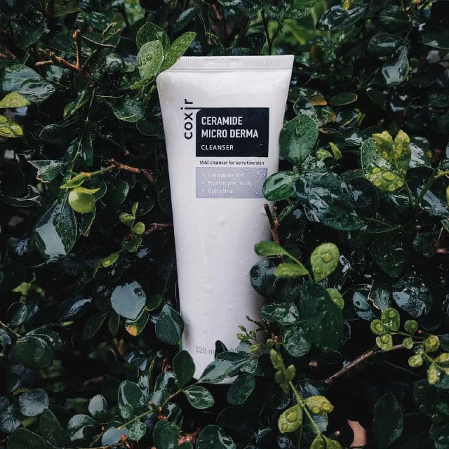 Coxir Ceramide Micro Derma Cleanser review photo by taeandz