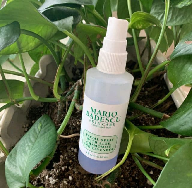 Mario Badescu Facial Spray with Aloe, Chamomile and Lavender review photo by AlottaReviews