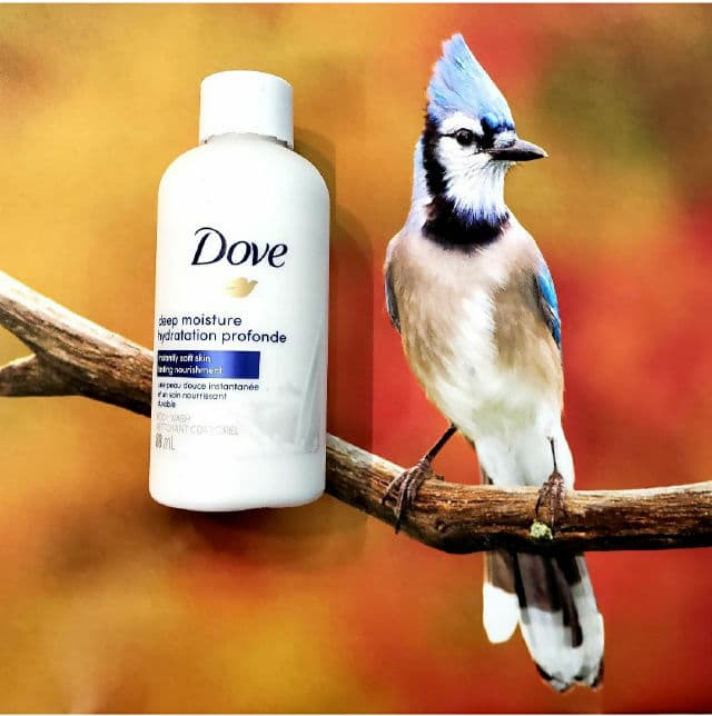 Dove Deep Moisture Body Wash review photo by Andyroy1926