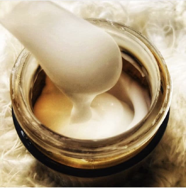 Mizon All-in-One Snail Repair Cream review photo by Camelliaskinensis